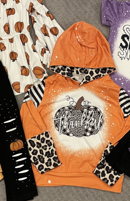 Toddle girls Thankful cheetah pumpkin long sleeve top preorder