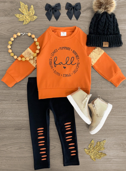 baby  girls fall design clothing set