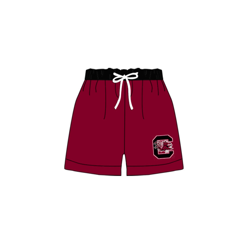 baby boy South Carolina team swim trunks