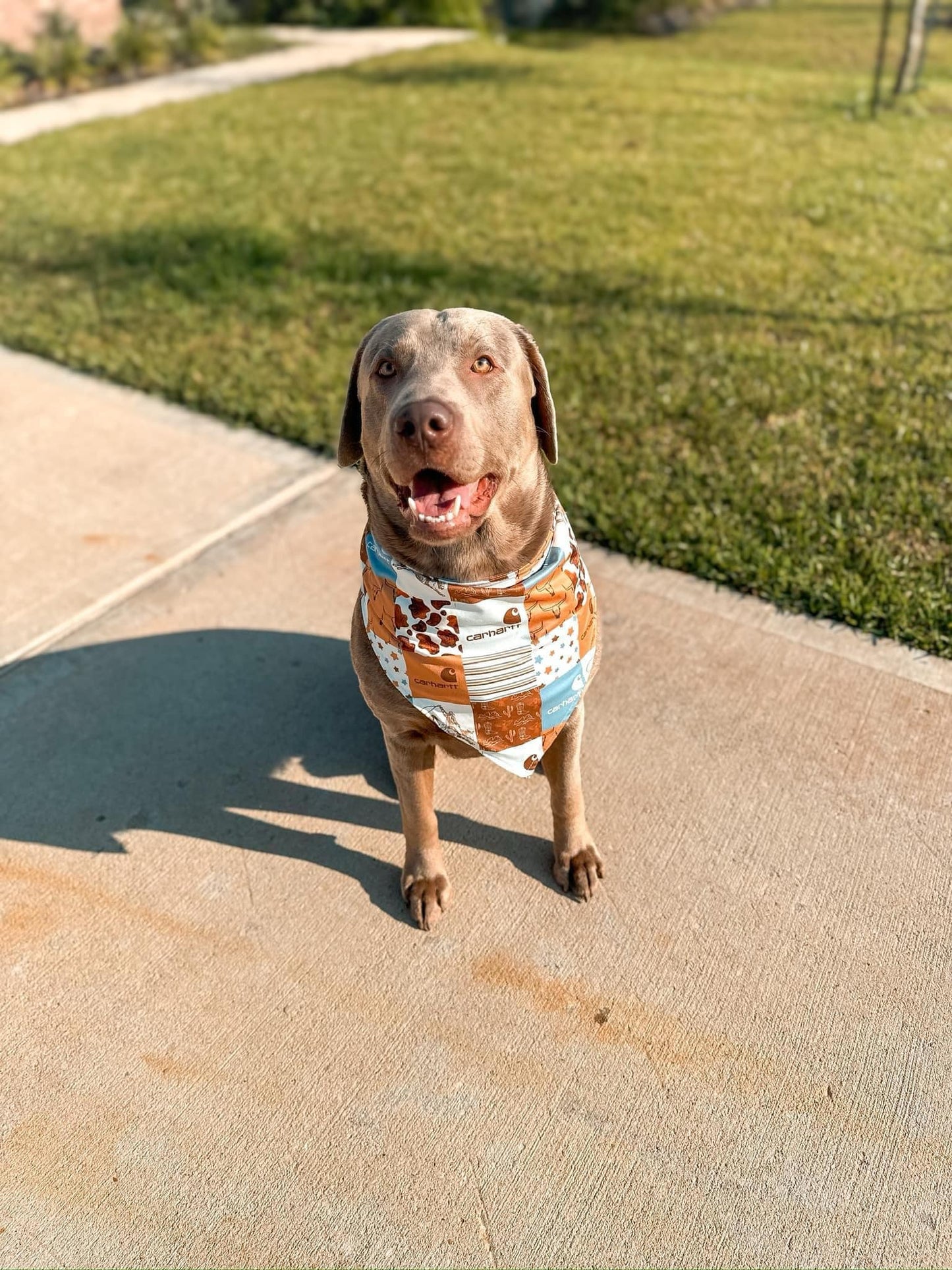 custom design cute puppy dog  bandanas