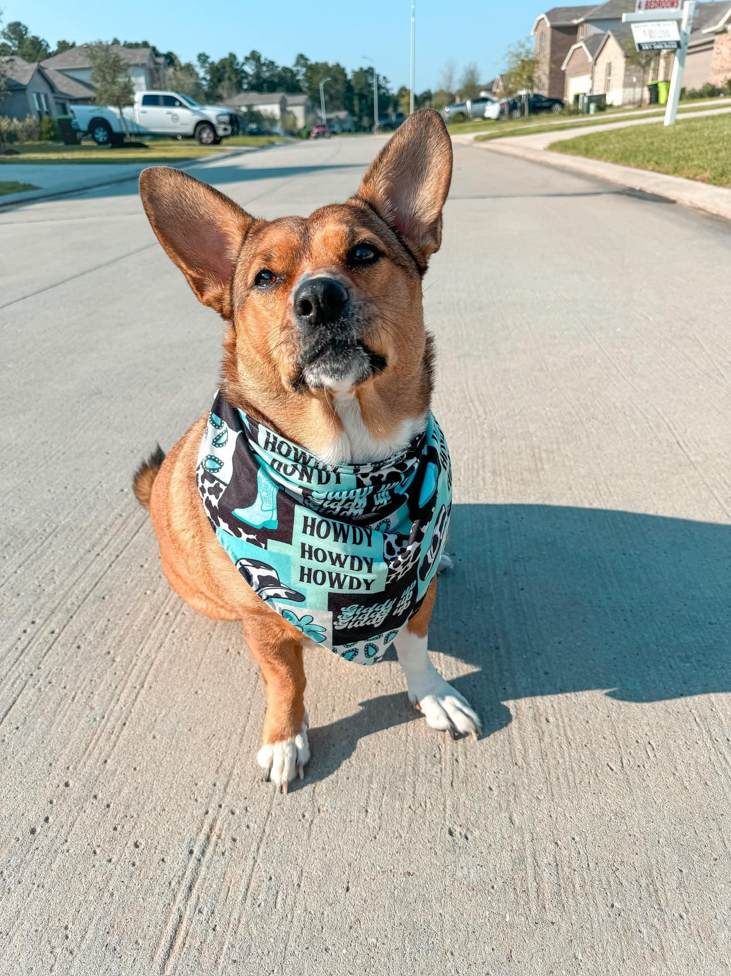 custom design cute puppy dog western print bandanas