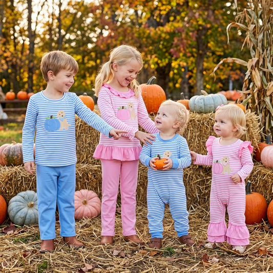 Boy long sleeve fall pumpkin  embroidery top matching pants sister brother fall outfit