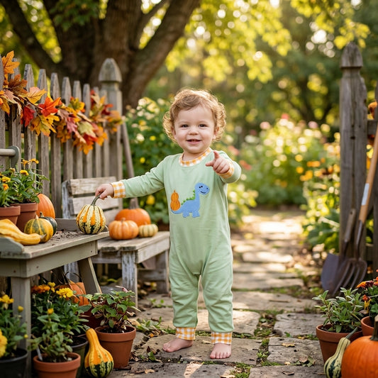 Toddle baby boy long sleeve embroidery pumpkin dinosaur romper