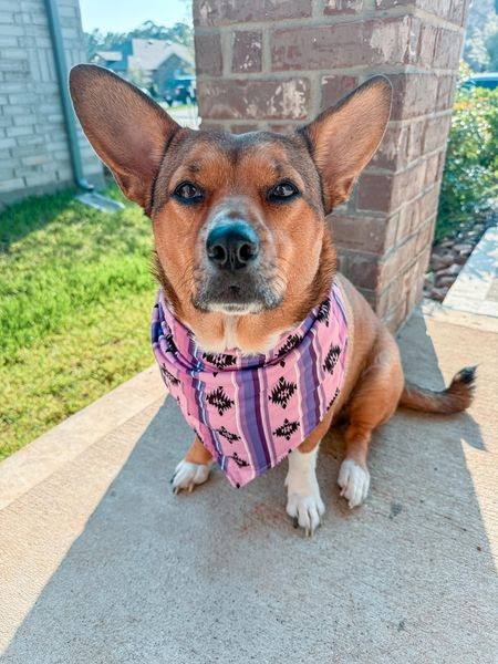 custom design cute puppy dog western print bandanas