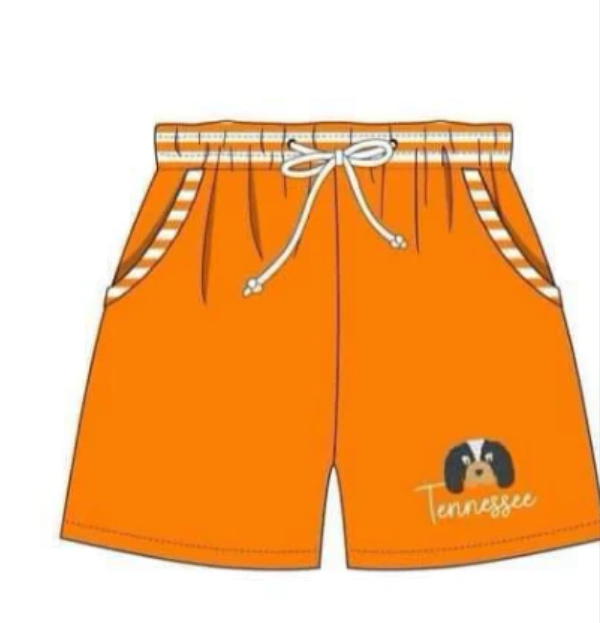 baby boy summer swim trunks